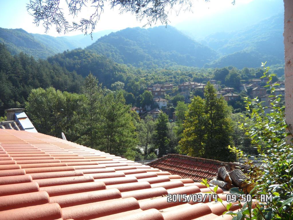 Guest House Perla Bachkovo Exterior photo